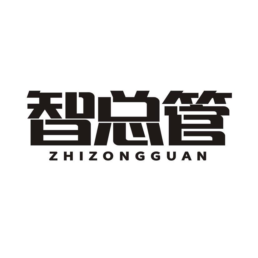 智总管