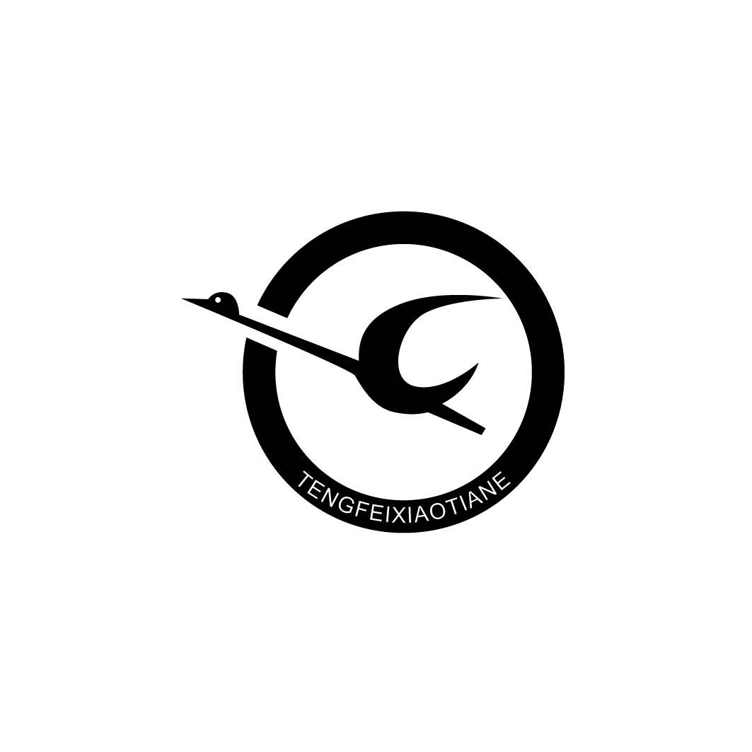 TENGFEIXIAOTIANE