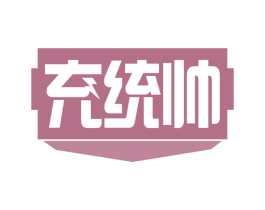 充统帅