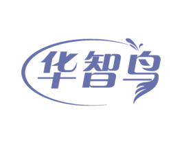 华智鸟