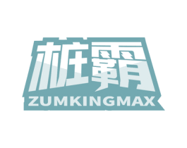 桩霸 ZUMKINGMAX