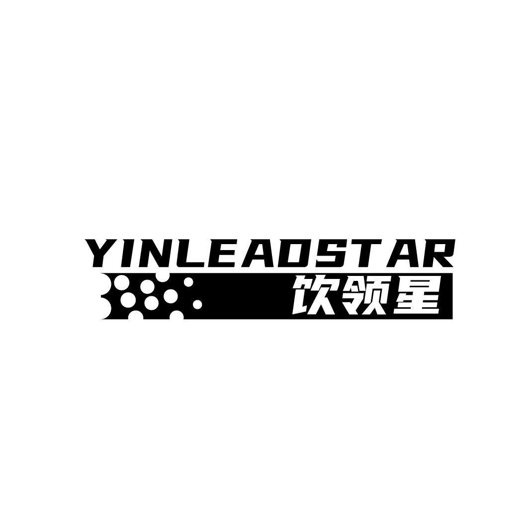 YINLEADSTAR 饮领星