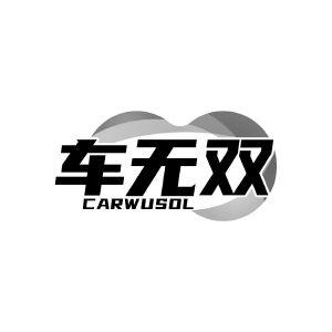 车无双 CARWUSOL