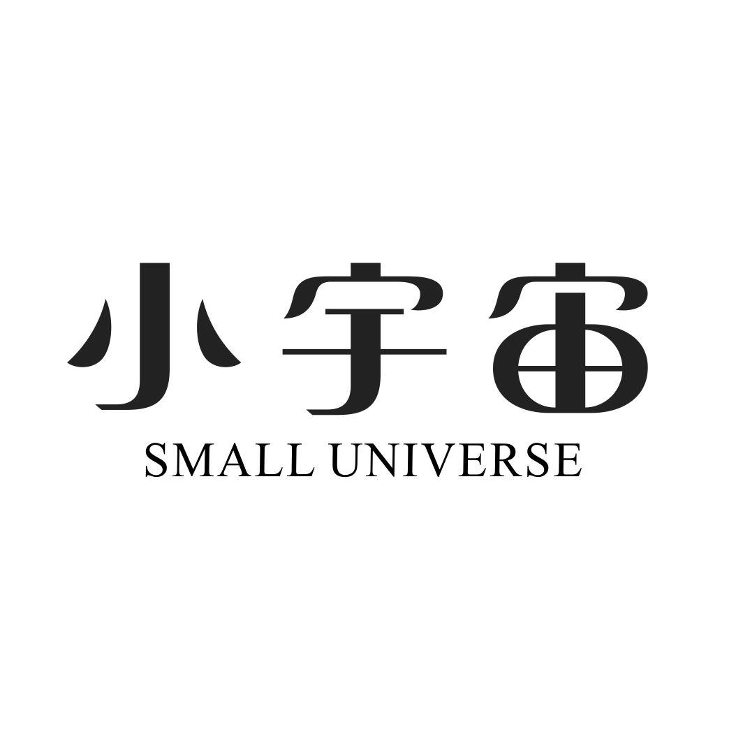 小宇宙 SMALL UNIVERSE
