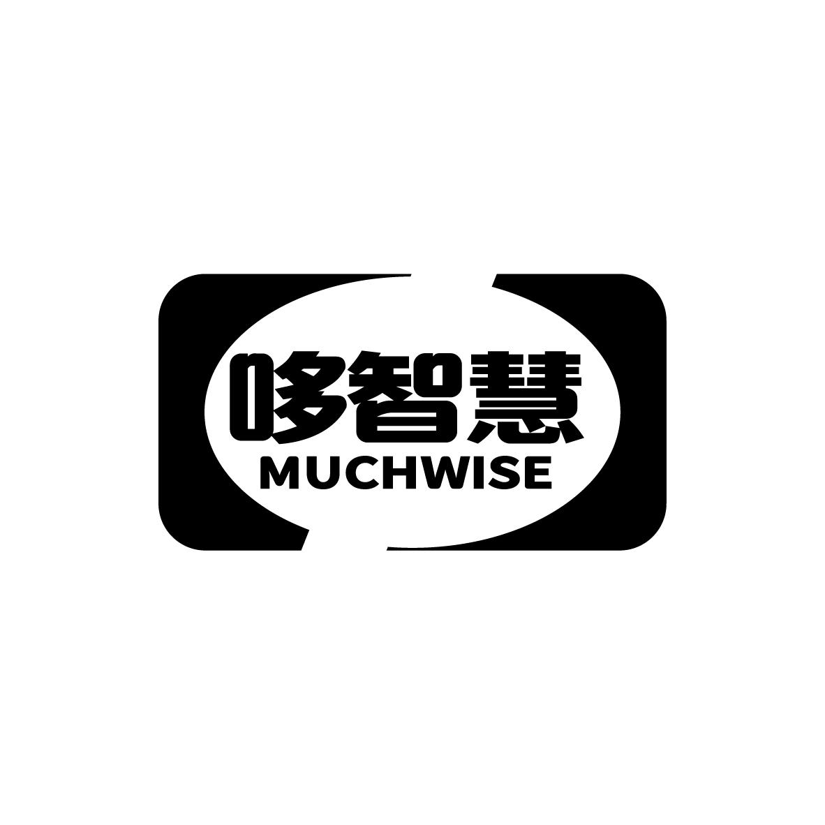 哆智慧 MUCHWISE