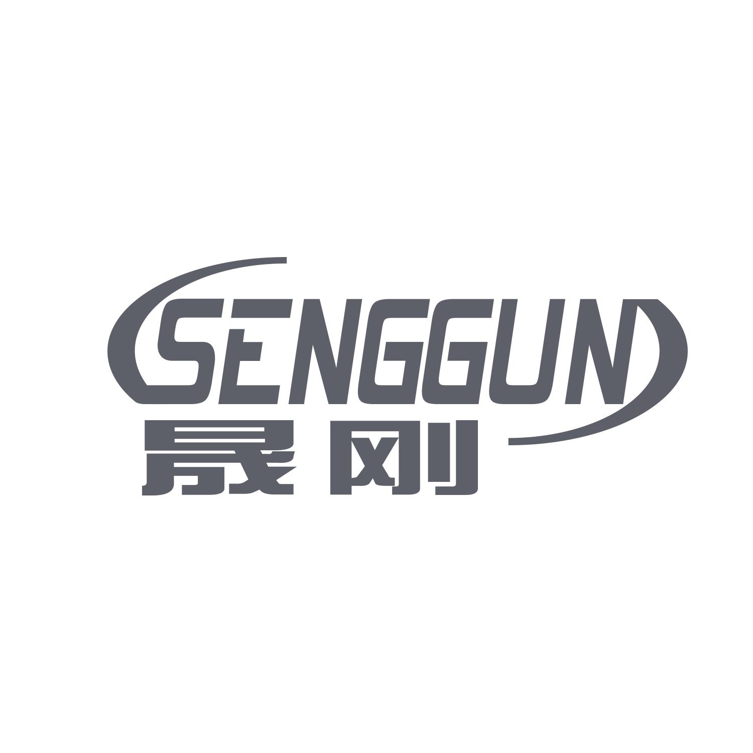 晟刚 SENGGUN
