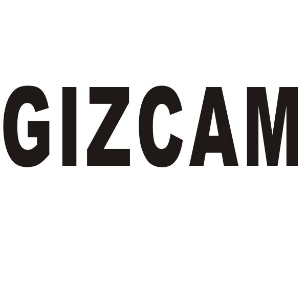 GIZCAM