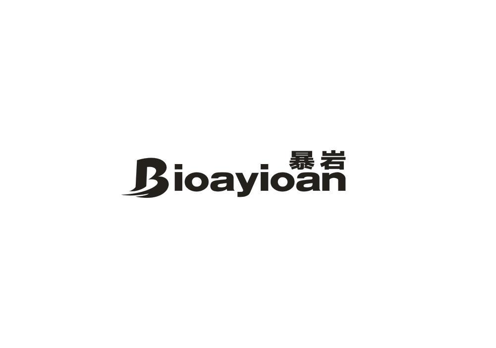 暴岩  BIOAYIOAN