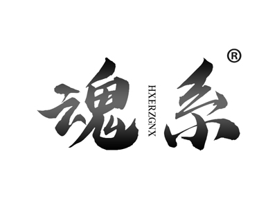 魂系 HXERZGNX