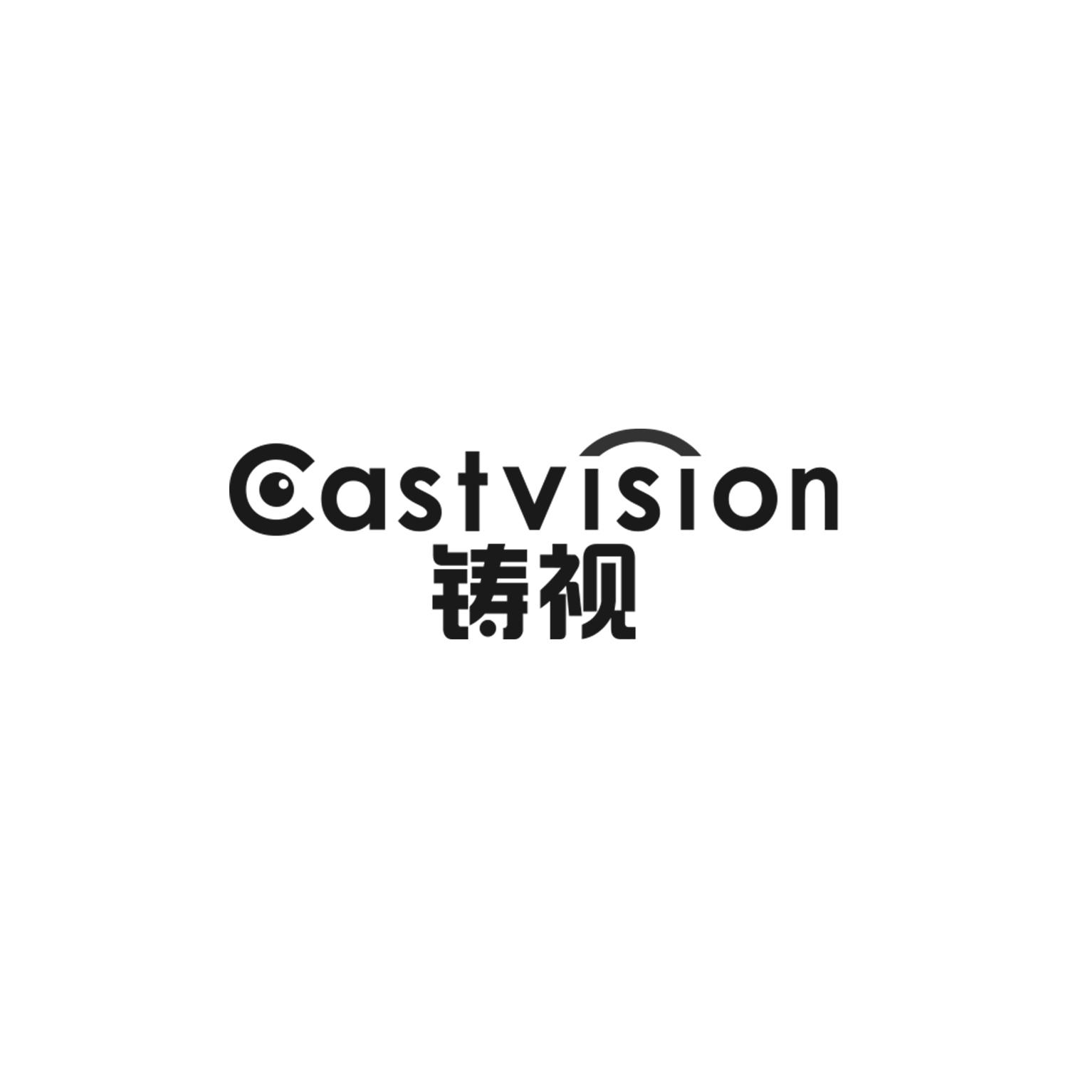 铸视 CASTVISION