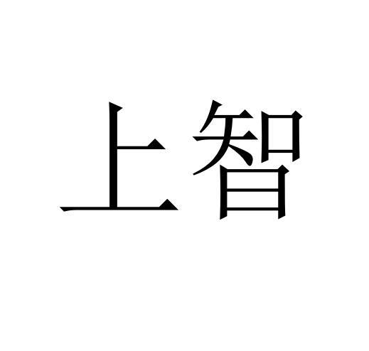 上智