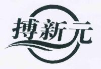 搏新元