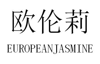 欧伦莉 EUROPEANJASMINE