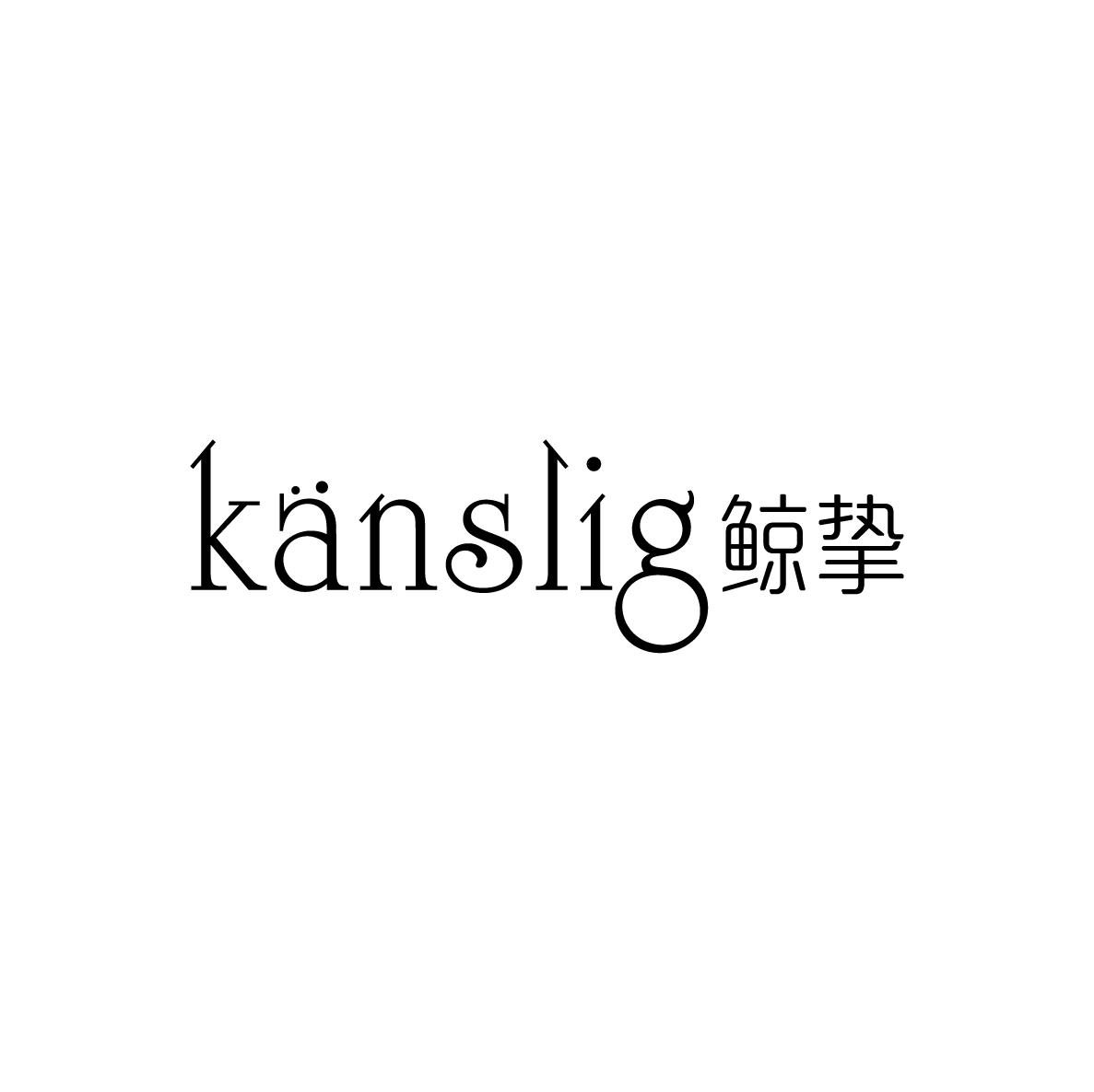鲸挚 KANSLIG