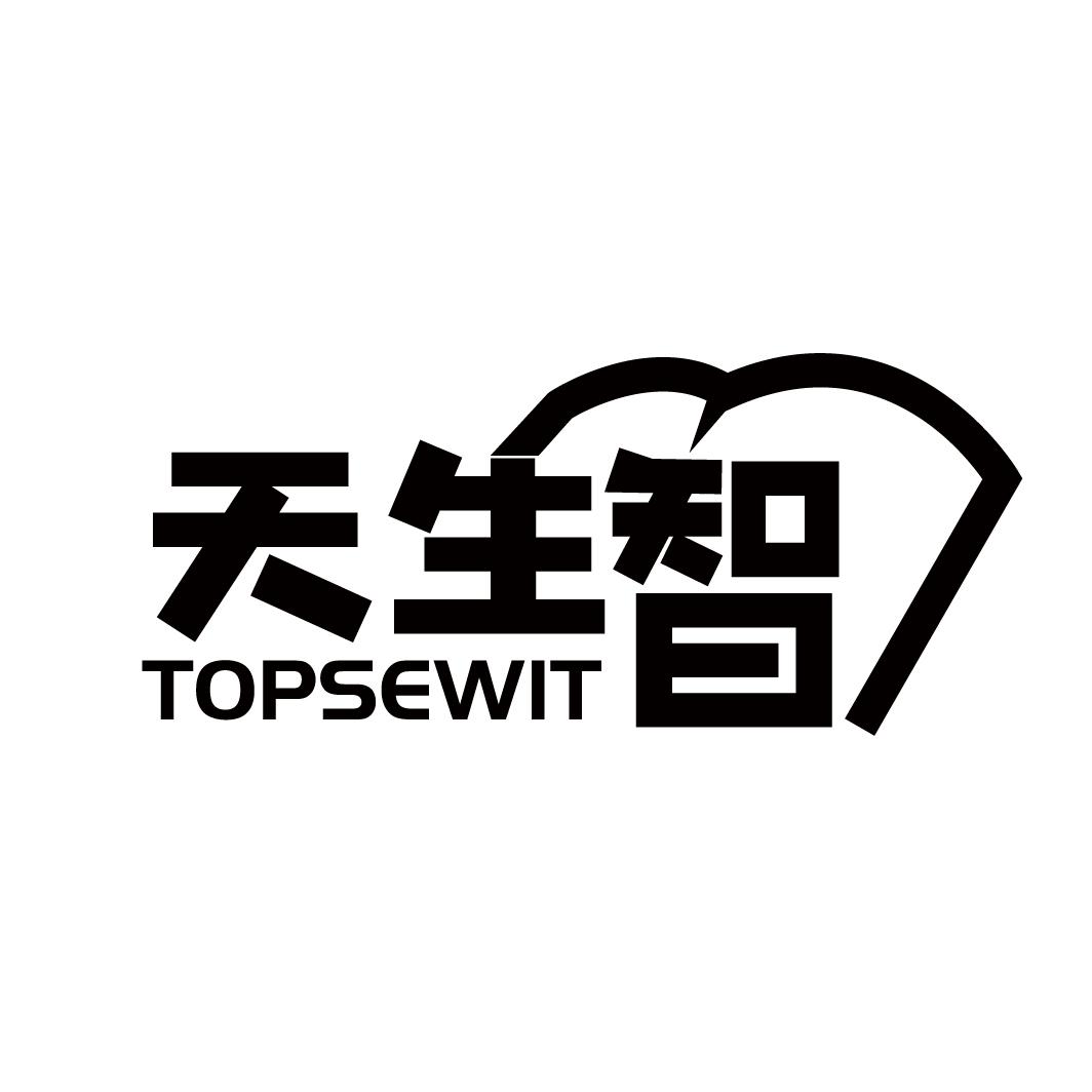 天生智 TOPSEWIT