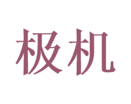 极机