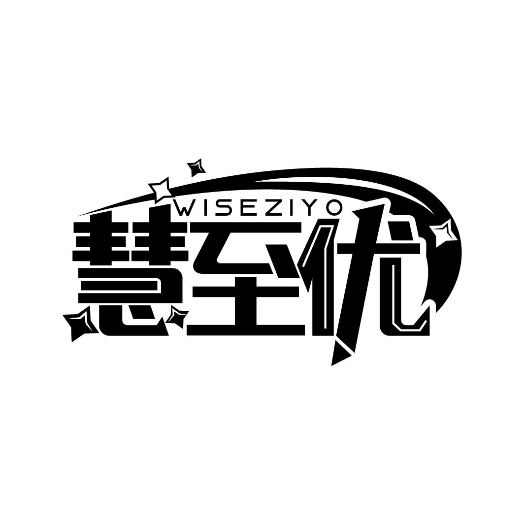 慧至优 WISEZIYO