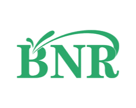 BNR
