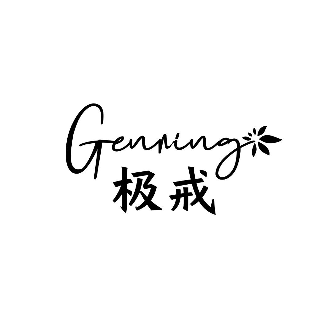 极戒 GENRING