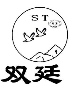 双廷 ST