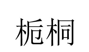 栀桐