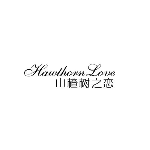 HAWTHORN LOVE 山楂树之恋