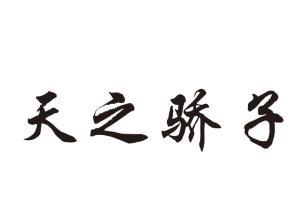 天之骄子