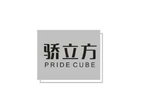 骄立方 PRIDE CUBE