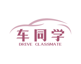 车同学 DRIVE CLASSMATE