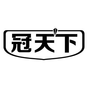 冠天下