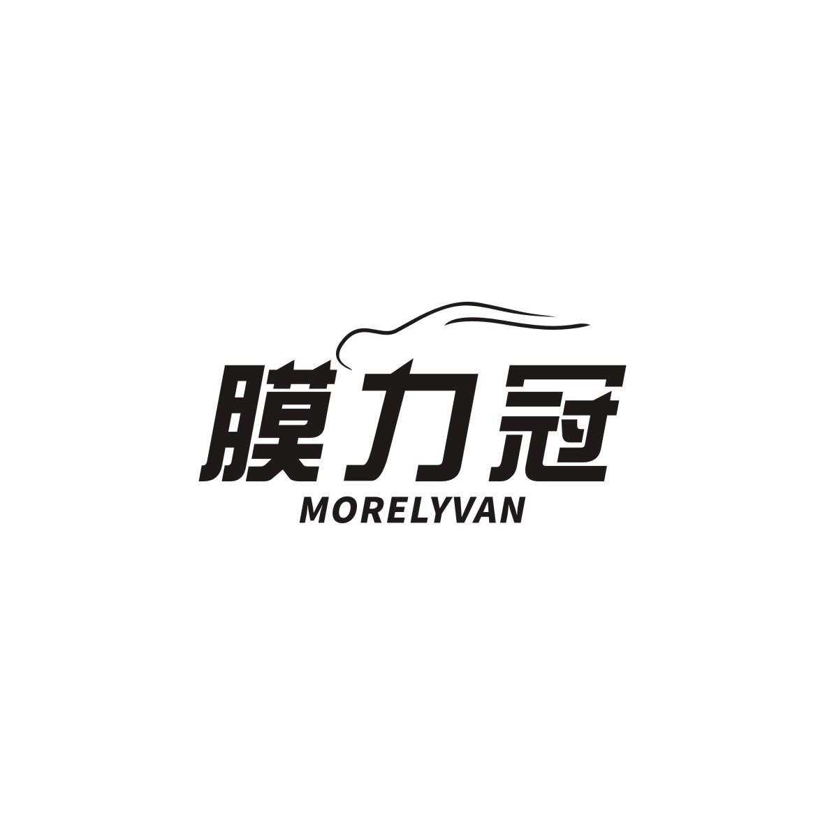 膜力冠 MORELYVAN