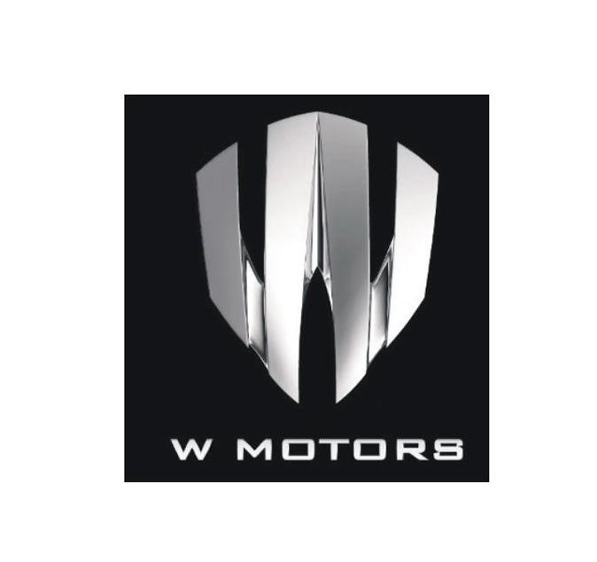 W MOTORS