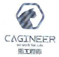 猫工程师 CAGINEER WE WORK FOR CATS