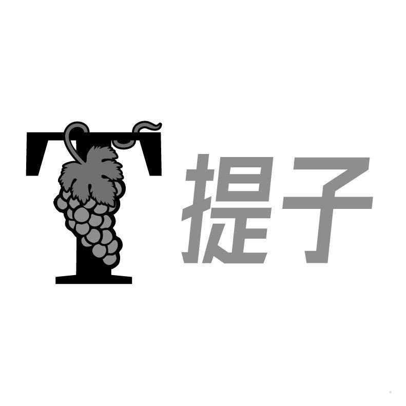 T 提子