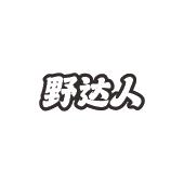 野达人