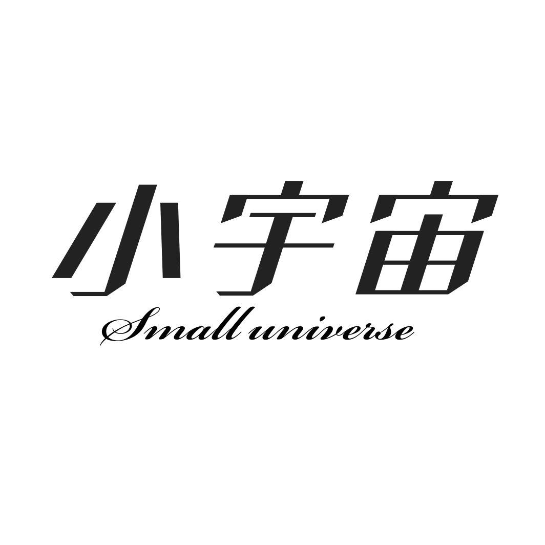 小宇宙 SMALL UNIVERSE