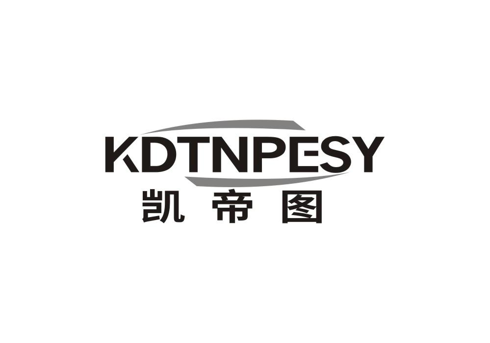 凯帝图 KDTNPESY