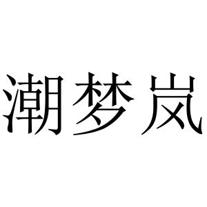 潮梦岚