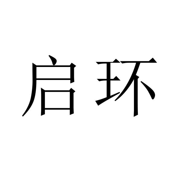 启环