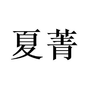 夏菁