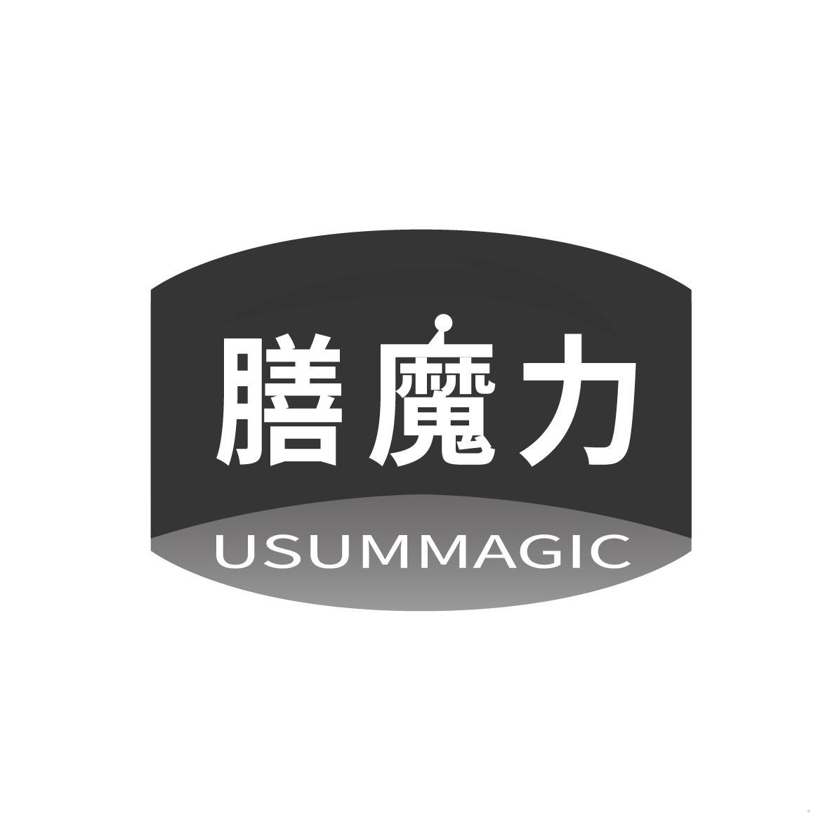 膳魔力 USUMMAGIC