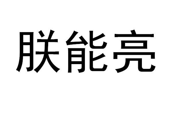 朕能亮