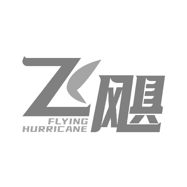 飞飓 FLYING HURRICANE