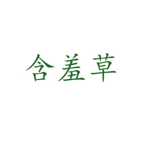 含羞草