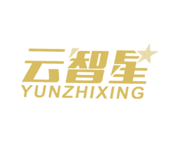 云智星
