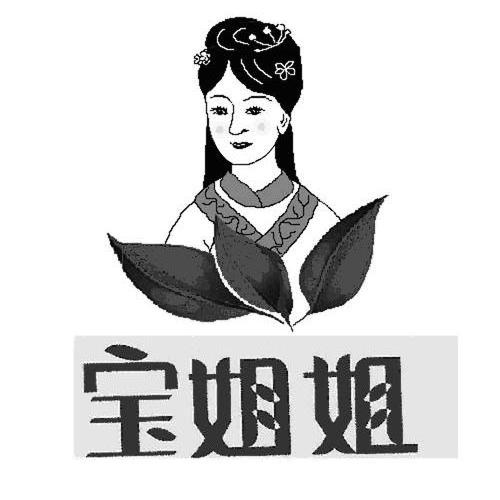 宝姐姐