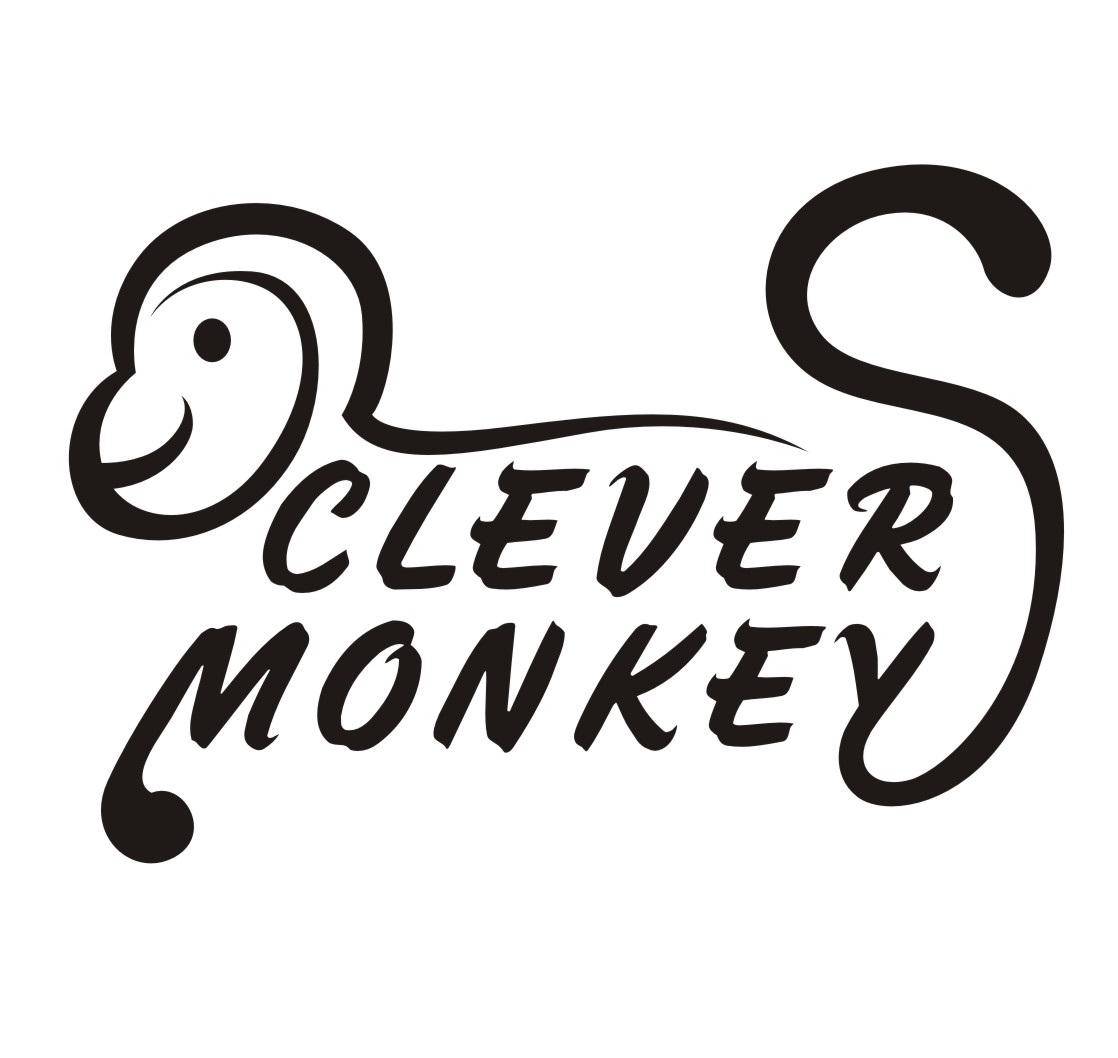 CLEVER MONKEY