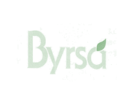 BYRSA