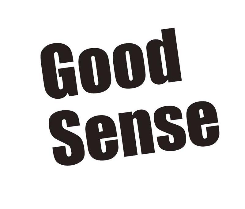 GOOD SENSE