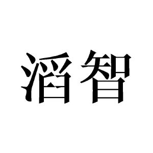 滔智
